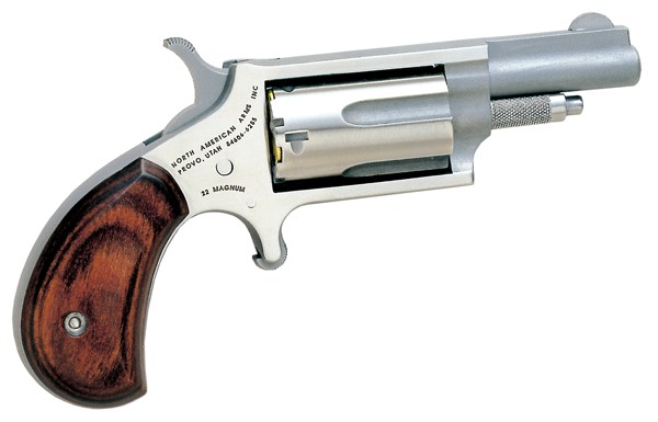 NAA 22M 1 5/8 SS 5RD - Taurus Savings